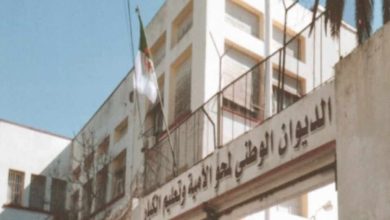 الديوان الوطني لمحو الأمية وتعليم الكبار ينظيم ندوة علمية حول اللغة الأم وتعليم الكبار