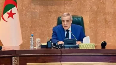 خلال إجتماع الحكومة برئاسة الوزير الأول، نذير العرباوي