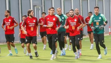 ركائز الخضر يتوهجون في كبرى الدوريات