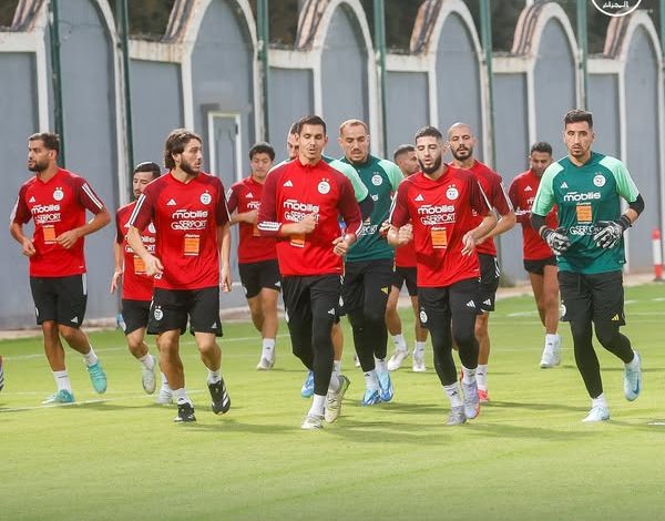 ركائز الخضر يتوهجون في كبرى الدوريات