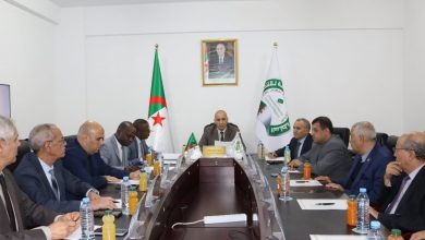 التجديد النصفي لأعضاء مجلس الأمة  .. رئيس السلطة الوطنية المستقلة للانتخابات بالنيابة يعلن عن النتائج المؤقتة