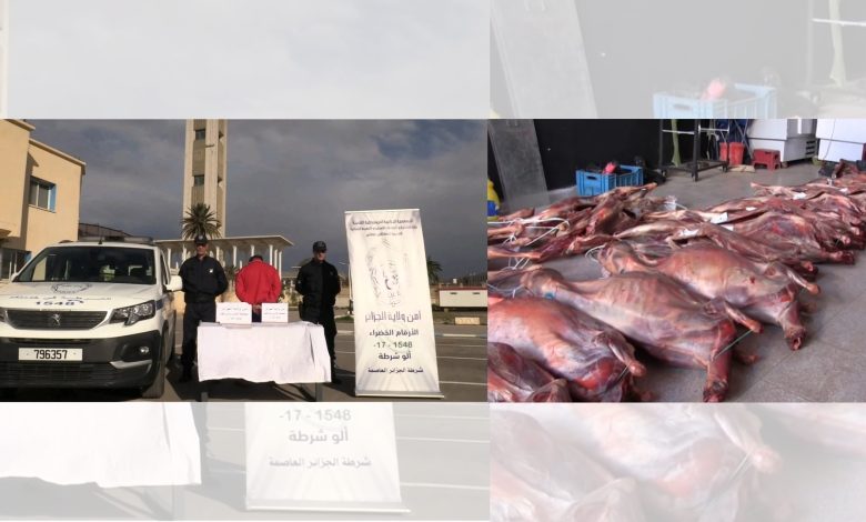 حجز أزيد من 4 قناطير من اللحوم الفاسدة و الإطاحة بـ سارق الأحذية بجامع الجزائر 