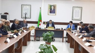 بهدف تحقيق التنمية المستدامة، محمد عرقاب، يؤكد: