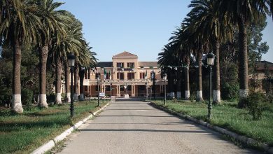 خطوات استراتيجية هامة لتطوير الأداء الأكاديمي والإداري بجامعة جيلالي ليابس
