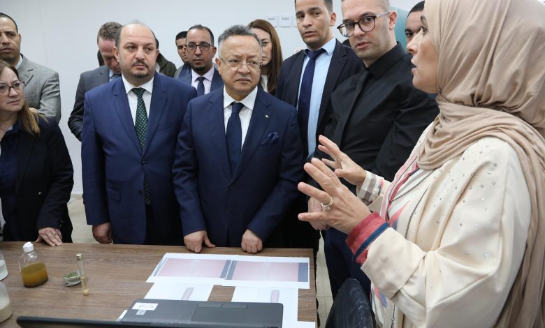 " إنشاء 50مؤسسة مصغرة للمساهمة في الاقتصاد الوطني "