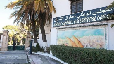 المجلس الوطني لحقوق الإنسان يؤكد "انخراطه الكامل" في جهود الدولة لترقية حقوق المرأة