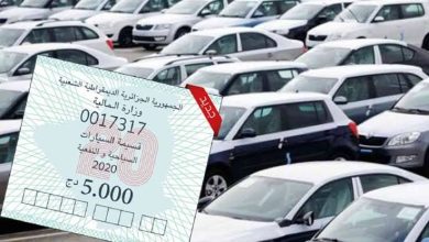 إطلاق منصة رقمية لاقتناء قسيمة السيارات عن بعد