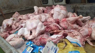 حجز وإتلاف كمية من الدجاج والحلويات التقليدية الفاسدة بتيسمسيلت