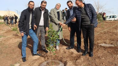 حملة تشجير واسعة بكلية الهندسة الكهربائية بجامعة "جيلالي ليابس"