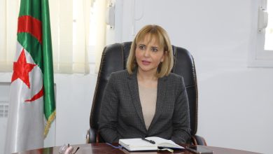 "إبتسام حملاوي" تستقبل ممثلين عن عدة جمعيات وطنية ومحلية