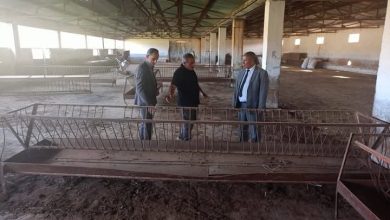 المزرعة النموذجية حمادوش ببلدية شتوان معاينة المستودعات المخصصة لاستقبال الأضاحي المستوردة