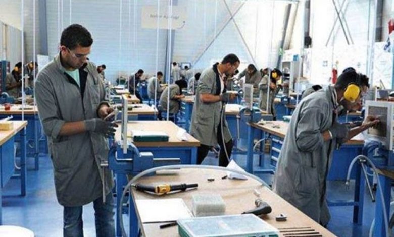 توفير أكثر من 6 آلاف منصب شغل للشباب بوهران