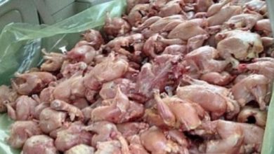 حجز أزيد من 277 كلغ من لحوم الدجاج الفاسد