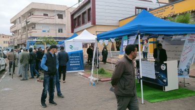 "النصب والاحتيال عبر الإنترنت"