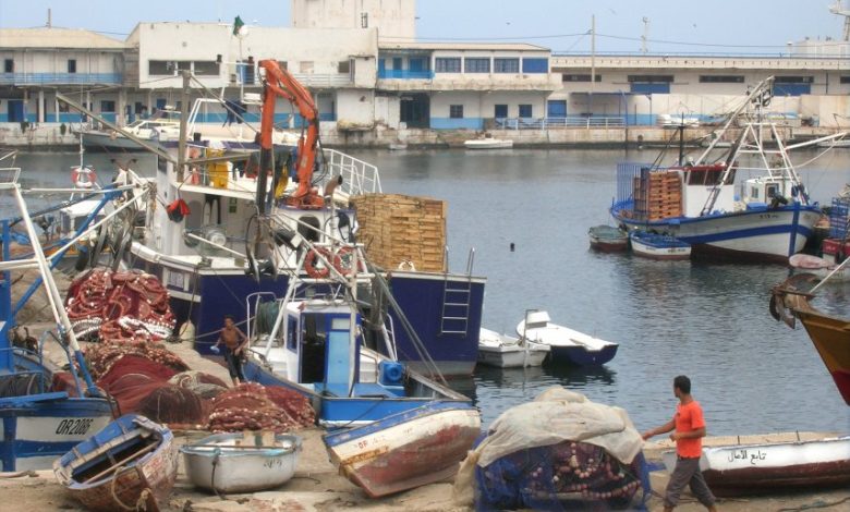 خلال أشغال الورشة الوطنية لمديرية الصيد البحري عرض أول تجربة نموذجية حول الأرصفة الاصطناعية