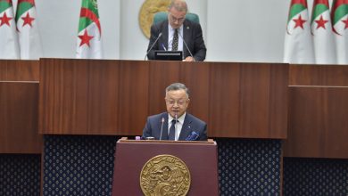 "كمال بداري" يؤكد اتخاذ إجراءات عملية