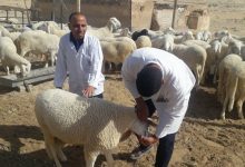 البياطرة، مديرية التجارة ومؤسسة تسيير مراكز الردم يتأهبون