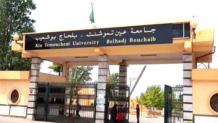 بجامعة "بلحاج بوشعيب" بعين تموشنت