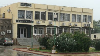 بلدية وادي تليلات