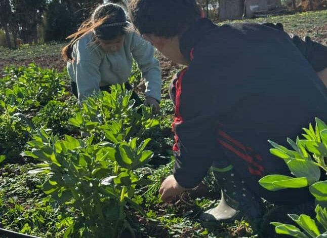 Ferme Lemima Aïcha