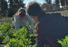 Ferme Lemima Aïcha