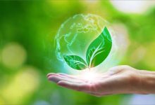 الرقمنة وتأثيراتها على البيئة