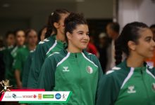 البطولة الإفريقية للأمم لكرة اليد