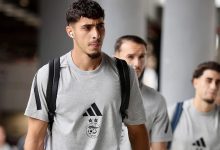 فلاديمير بيتكوفيتش