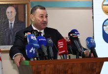 برنامج "دعم التنمية المحلية المندمجة - أديل"