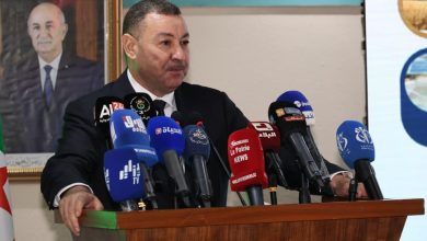 برنامج "دعم التنمية المحلية المندمجة - أديل"