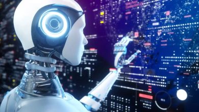 هيمنة المعلومات