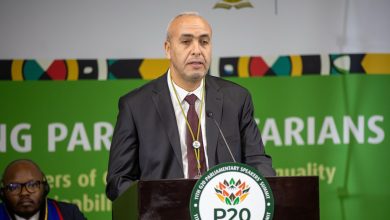 مؤتمر الشباب البرلمانيين لمجموعة الـ 20 بجنوب إفريقيا