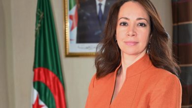 "سلمة منصوري" تؤكد أن قوة إفريقيا تكمن في شبابها