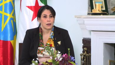 سلمة حدادي ترافع من أجل استغلال التحول الرقمي