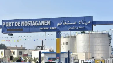 رسخ ميناء مستغانم مشاركته في معرض التجارة البينية الإفريقي، كخطوة لتعزيز حضور قطاع الخدمات المينائية الجزائرية على الخارطة التجارية القارية،