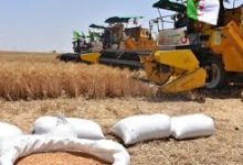 "أوشان"يطالب بتسريع وتيرة العمل بورشات تجميع الحبوب