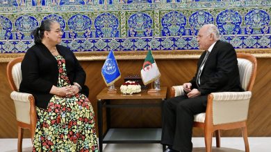 أحمد عطاف يستقبل رئيسة البعثة الأممية للدعم في ليبيا