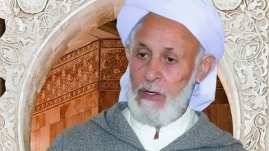 الشيخ "الصادق عون الله"