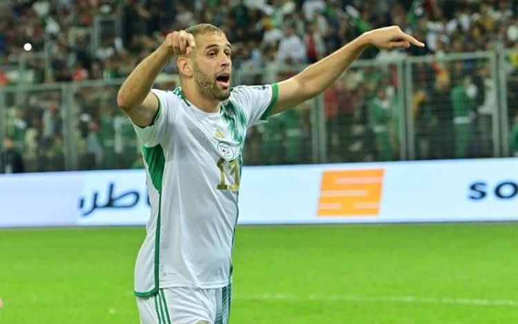 "إسلام سليماني"