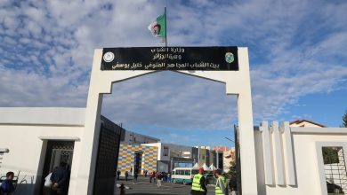 وزارة الشباب تعد مخططا وطنيا قصير المدى