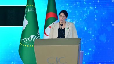 المؤتمر الإفريقي للمؤسسات الناشئة، سلمى مليكة حدادي