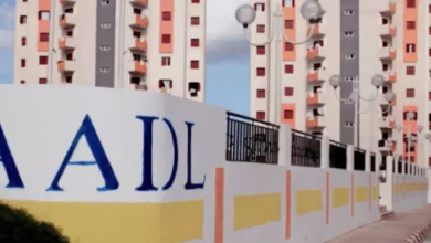 عين تموشنت.. انطلاق أشغال 300 وحدة سكنية "عدل"