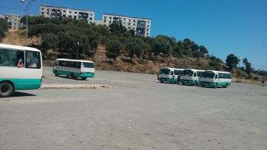 لإنهاء فوضى نشاط النقل البري بعين الترك..