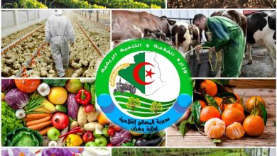 تكوين 200 شاب في مختلف الشعب الفلاحية