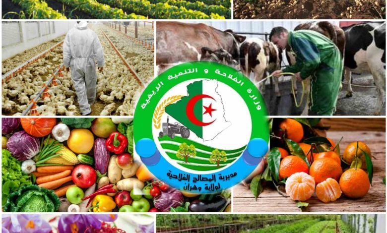 تكوين 200 شاب في مختلف الشعب الفلاحية