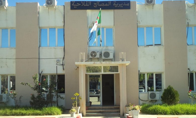 المصالح الفلاحية بمعسكر.. توقع إنتاج أكثر من 482 ألف قنطار