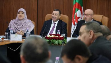 وزير الداخلية يعرض قانون الأحزاب الجديد..