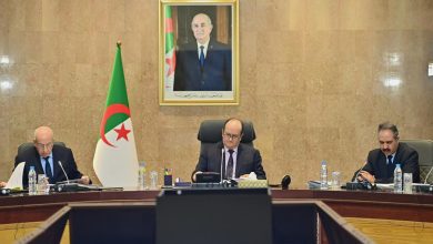 قرار رئاسي باستيراد مليون رأس غنم..
