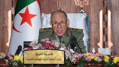 الفريق أول شنقريحة يشرع في زيارة رسمية إلى قطر للمشاركة في "ديمدكس 2026"