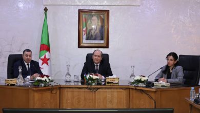 الحكومة تصادق على مشاريع تعليمية وثقافية